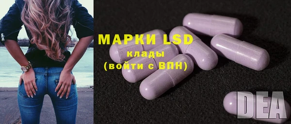 мдпв Ельня