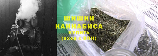 мдпв Ельня