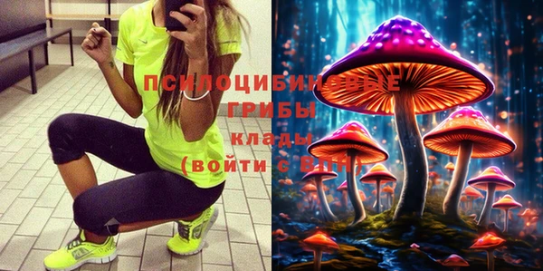 ПСИЛОЦИБИНОВЫЕ ГРИБЫ Заволжье
