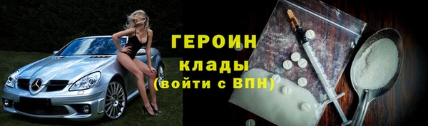 мдпв Ельня