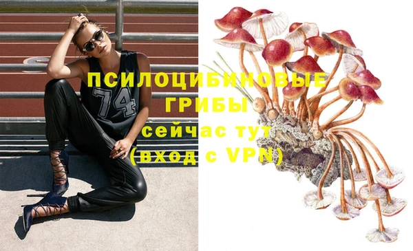 ПСИЛОЦИБИНОВЫЕ ГРИБЫ Заволжье