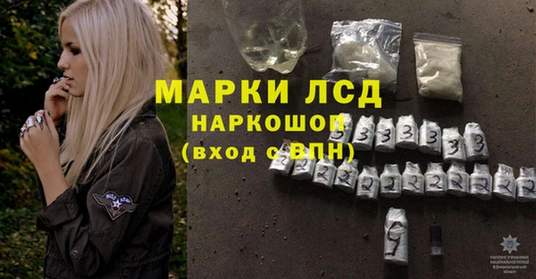индика Новосибирск