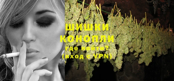 мдпв Ельня