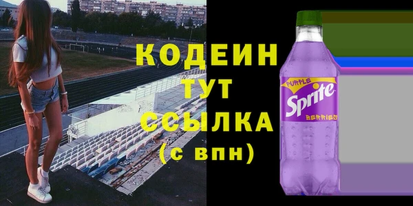 мдпв Ельня