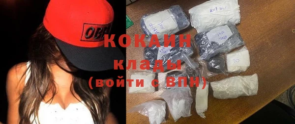 стаф Семилуки