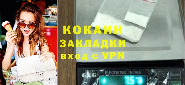 ПСИЛОЦИБИНОВЫЕ ГРИБЫ Заволжье