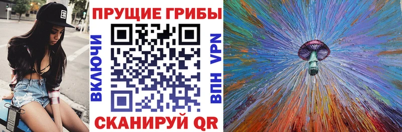 Галлюциногенные грибы MAGIC MUSHROOMS  закладки  Саяногорск 
