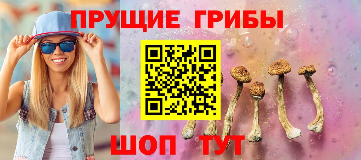 Саяногорск  Псилоцибиновые грибы GOLDEN TEACHER  Галлюциногенные грибы Psilocybine cubensis  Вход с VPN 